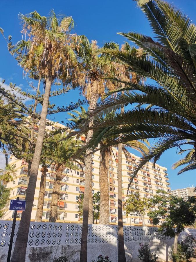 Los Cristianos Appartement Orange Trees Vue Mer Panoramique المظهر الخارجي الصورة